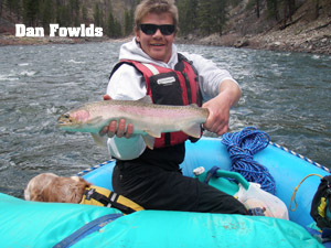 dan fowlds